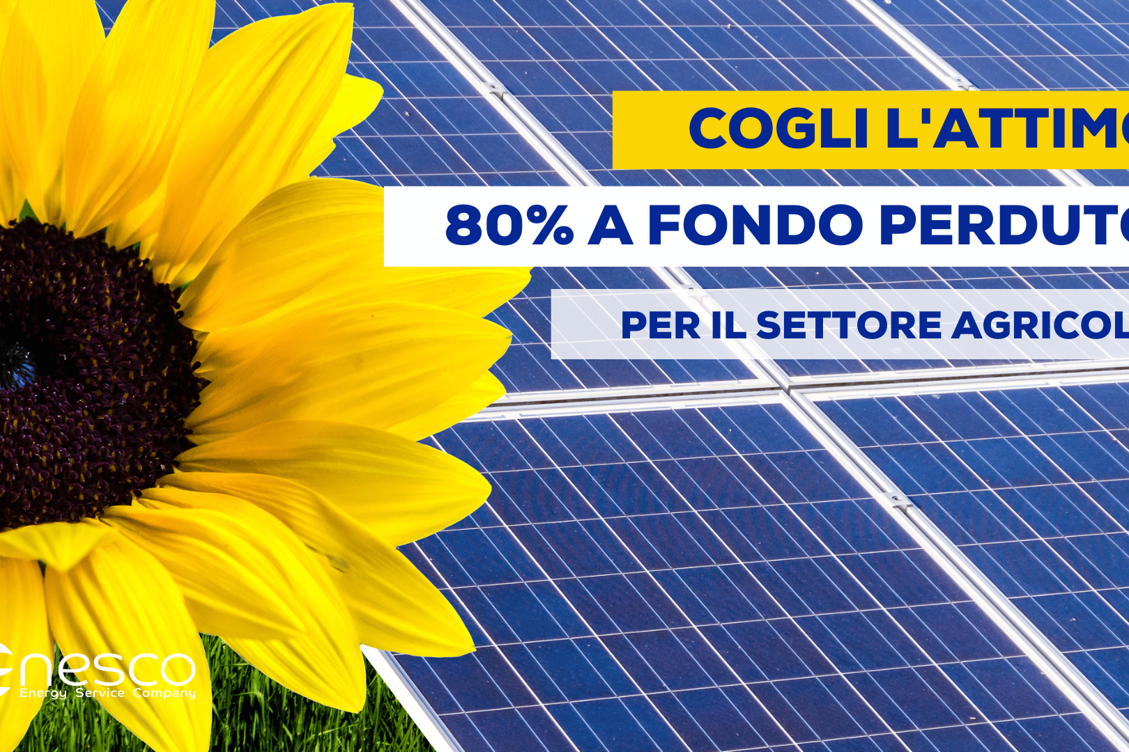 Bando Agrisolare