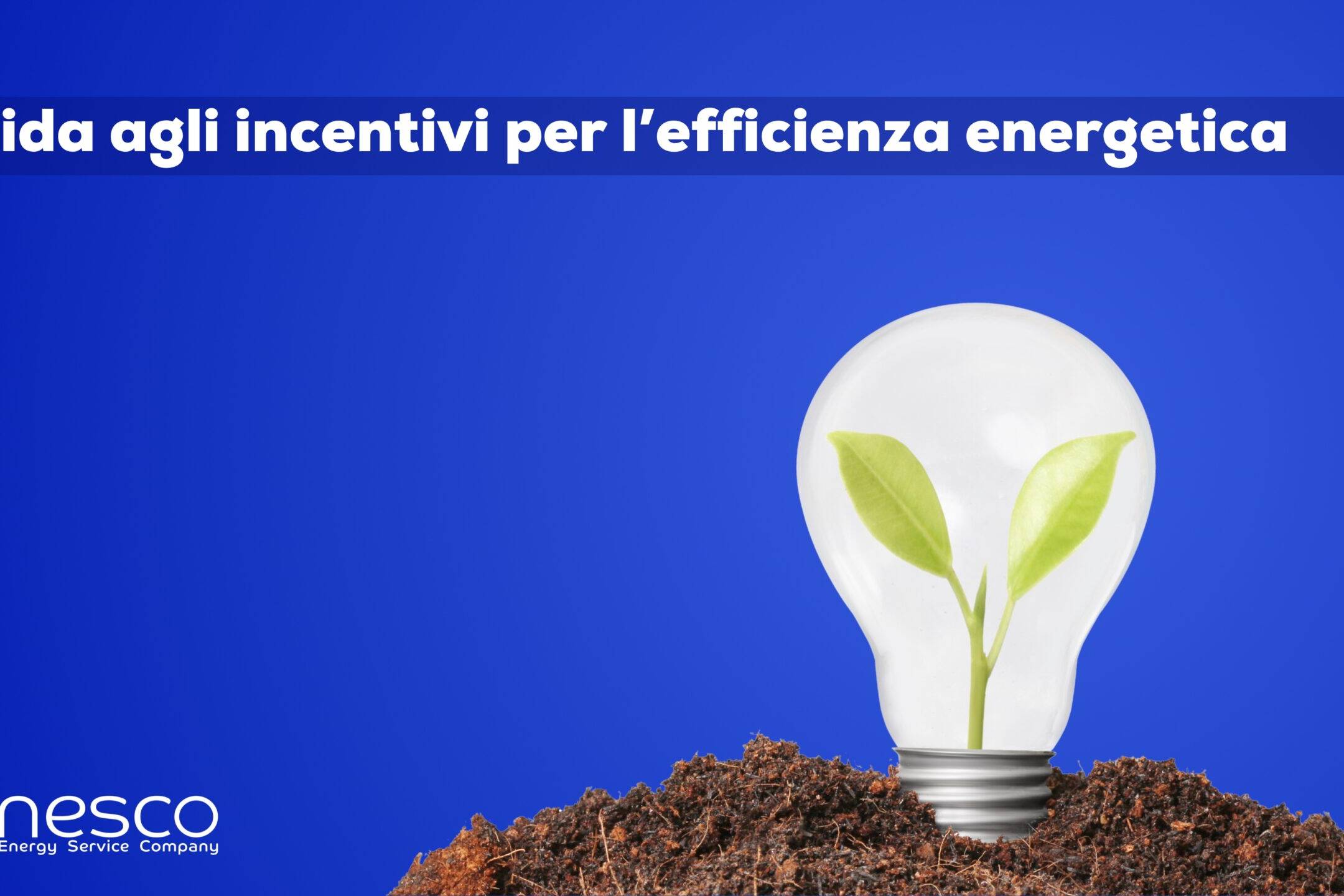 Guida agli incentivi per l'efficienza energetica