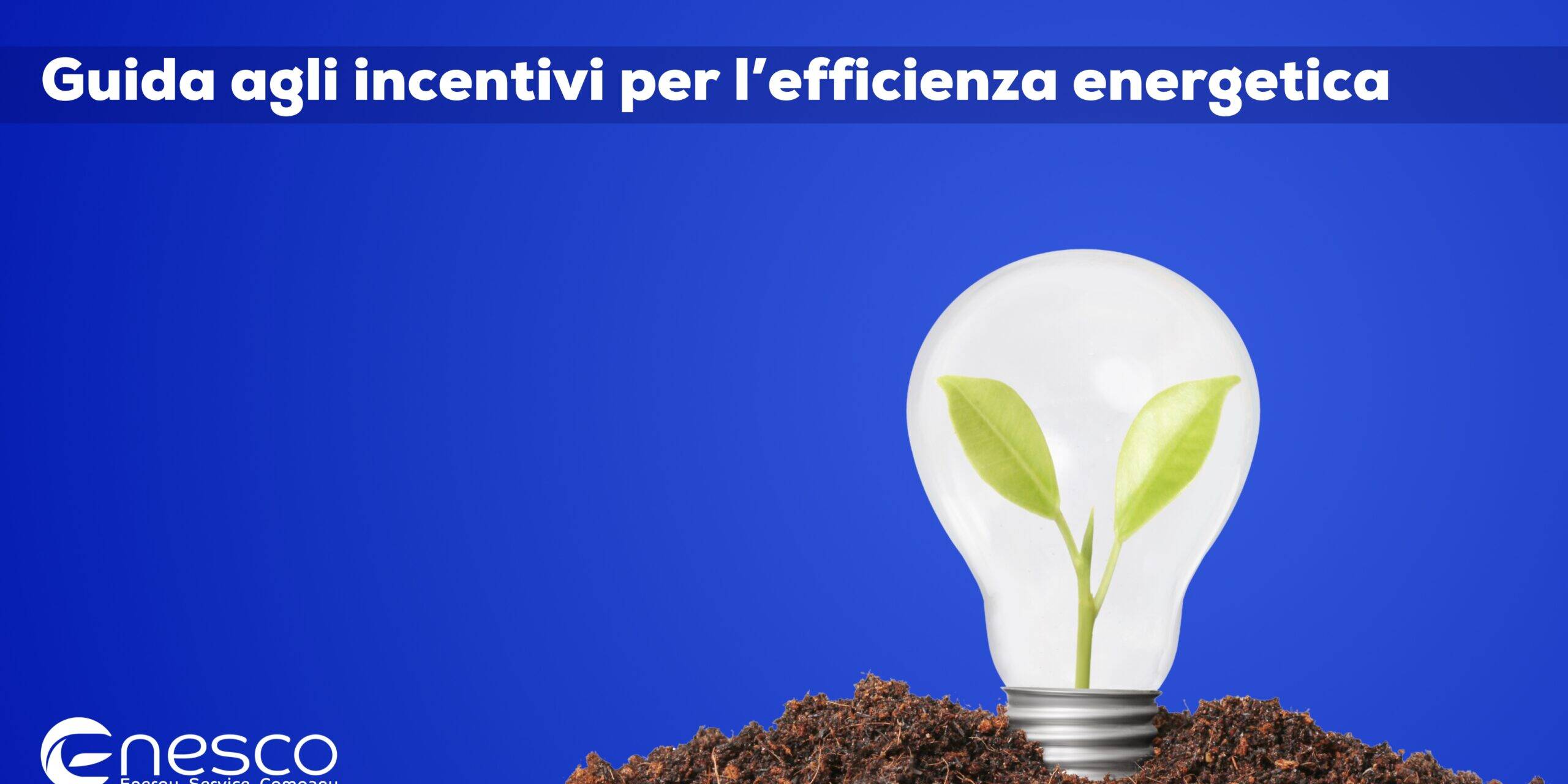 Guida agli incentivi per l'efficienza energetica